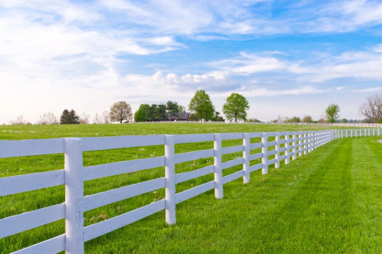 3 board fence