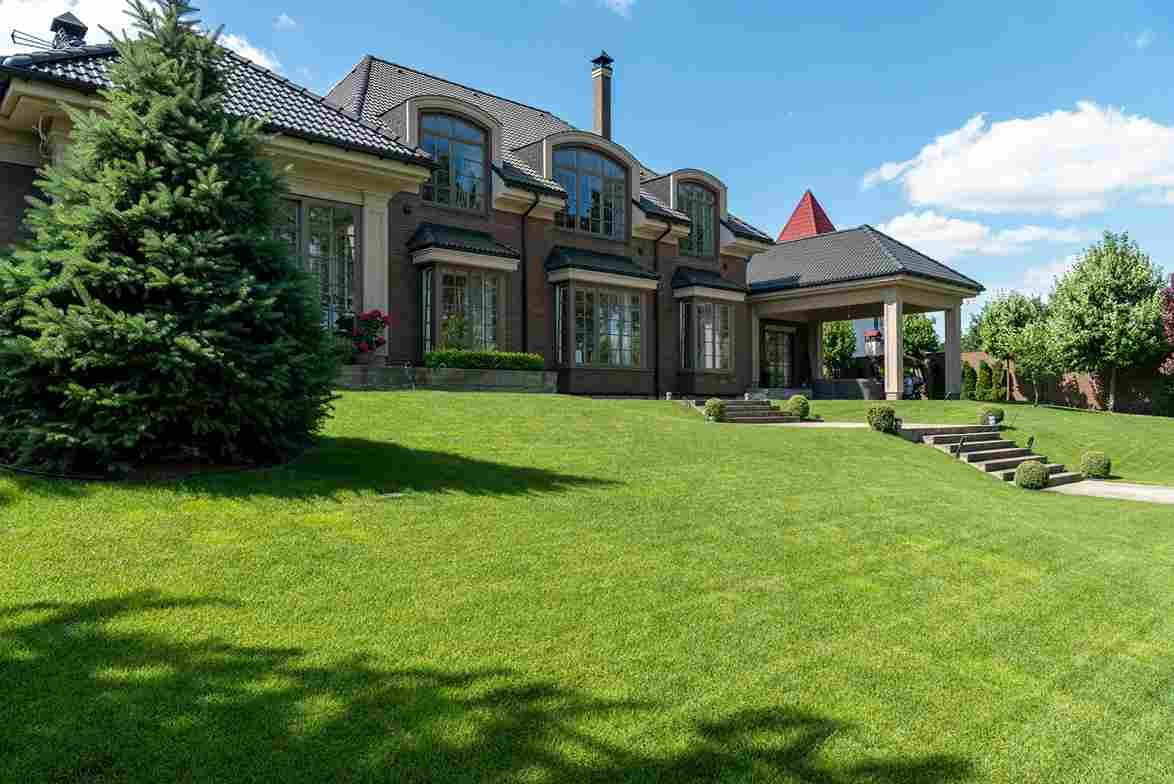 Hurricane-Ready Lawns: Why Regular Maintenance Makes Recovery Easier