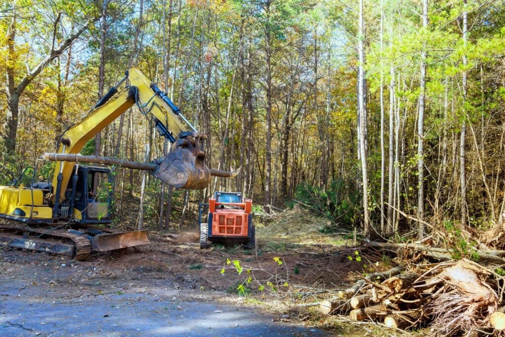 Excavator and mulching equipment clearing land in a forested area, demonstrating eco-friendly land clearing methods for forestry mulching in Florida.