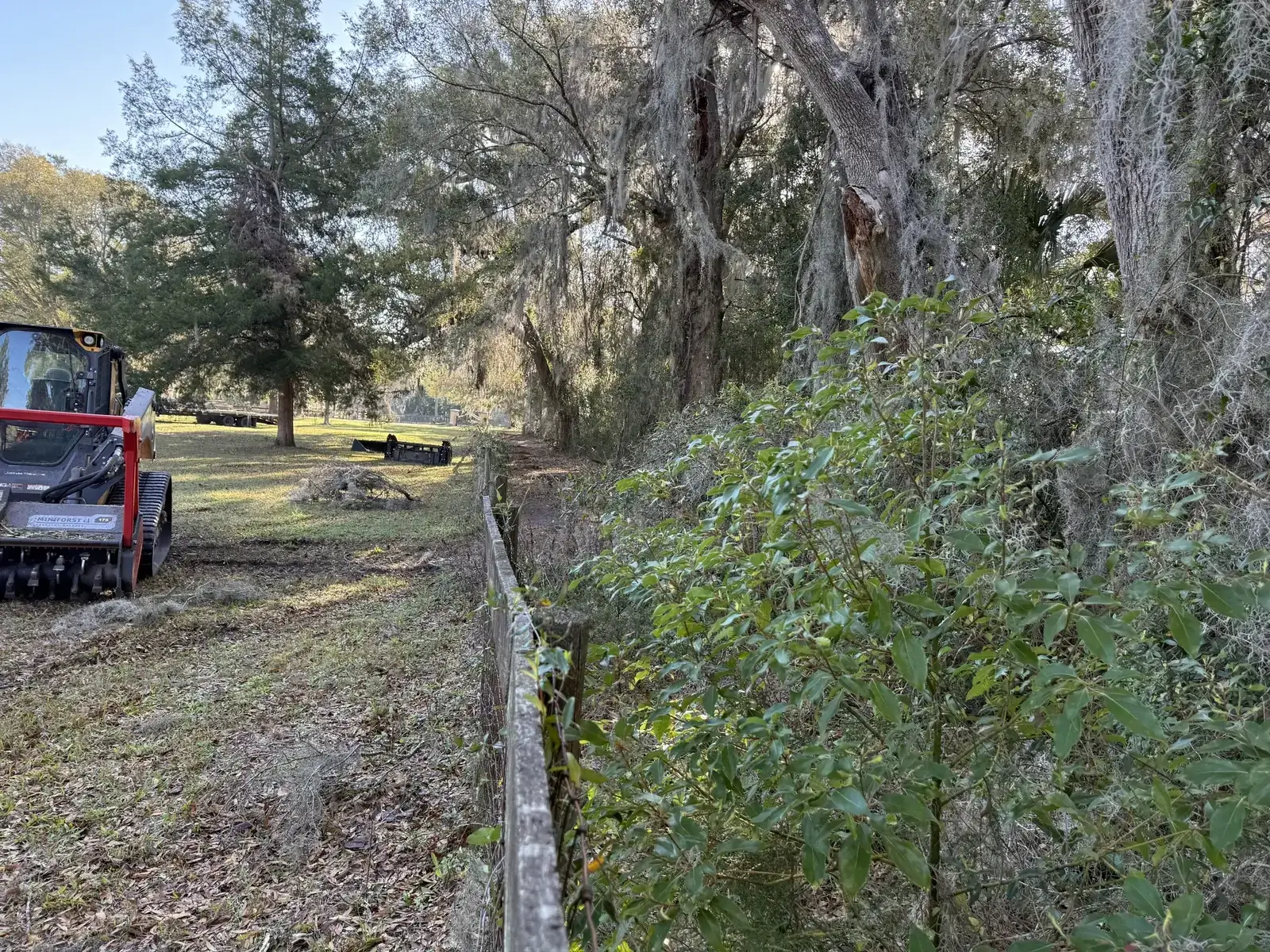 A red and black skid-steer equipped with a rotary mulching head aggressively clearing dense green brush and small trees near a wooden fence line in a sunny, wooded area.