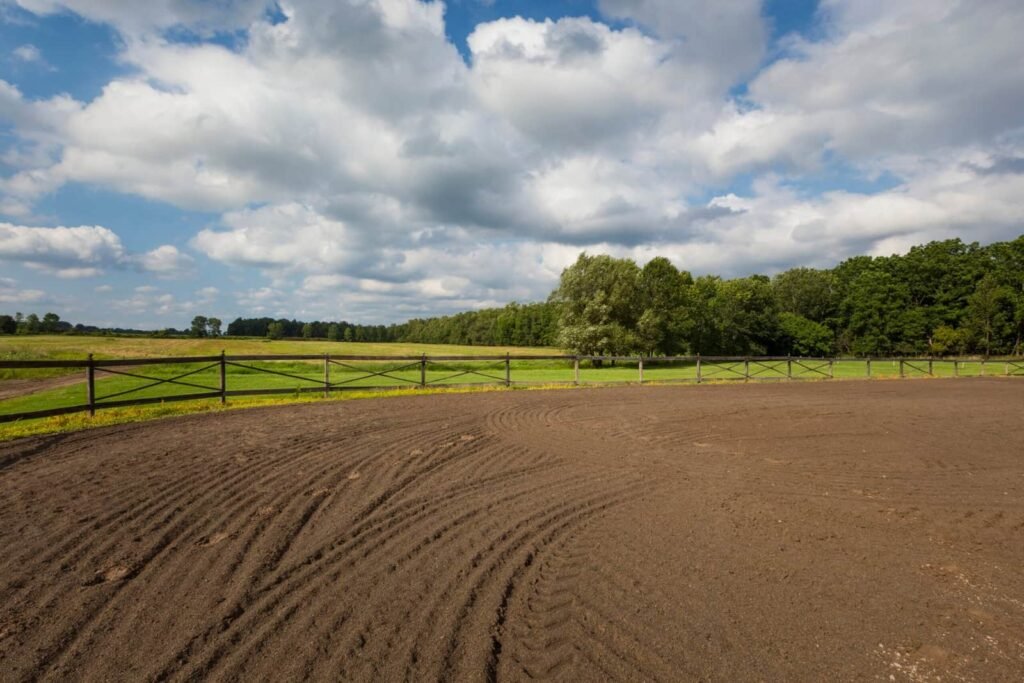 Groomed dirt riding arena in an equestrian center, showing fresh rake marks, a wooden fence, a grassy paddock, and a line of green trees and forest under a blue, cloudy sky.