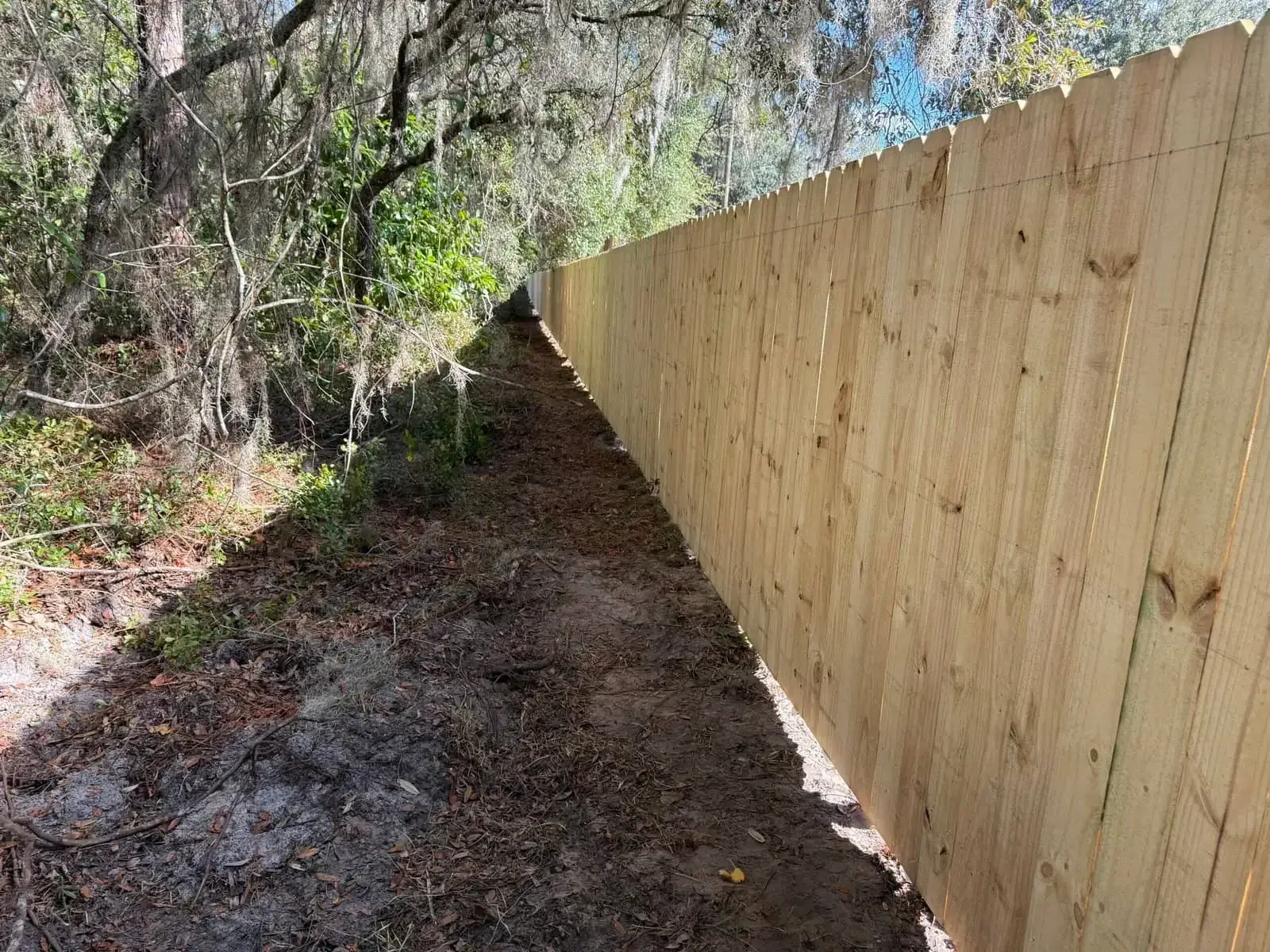 Newly constructed tall wood privacy fence bordering a densely wooded area and replacing an old wire fence.