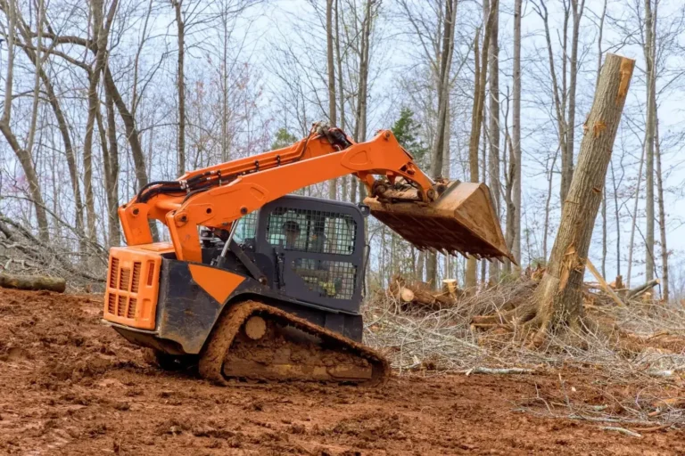 An orange and black compact track skid-steer loader with a raised bucket is digging and clearing red-brown dirt and mud on a construction site next to a freshly cut tree stump.