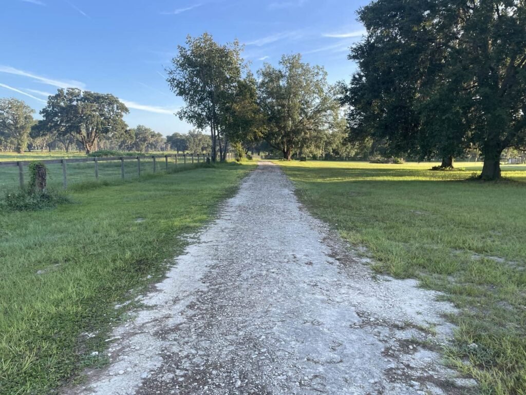 Gravel driveway leading through lush green pasture and oak trees in North Central Florida, illustrating driveway restoration potential.