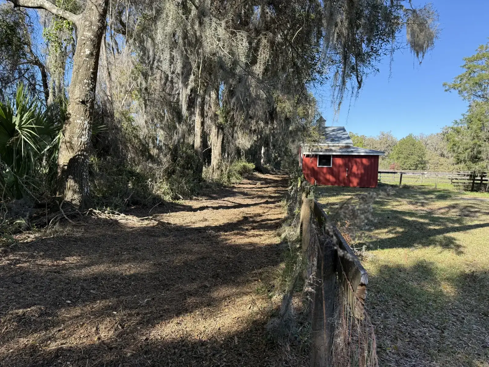 A long, sun-dappled dirt path covered in dried leaves stretches into the distance, bordered on the left by old trees laden with Spanish Moss. On the right, a weathered wooden fence runs alongside a bright green field where a small red shed stands under a clear blue sky.