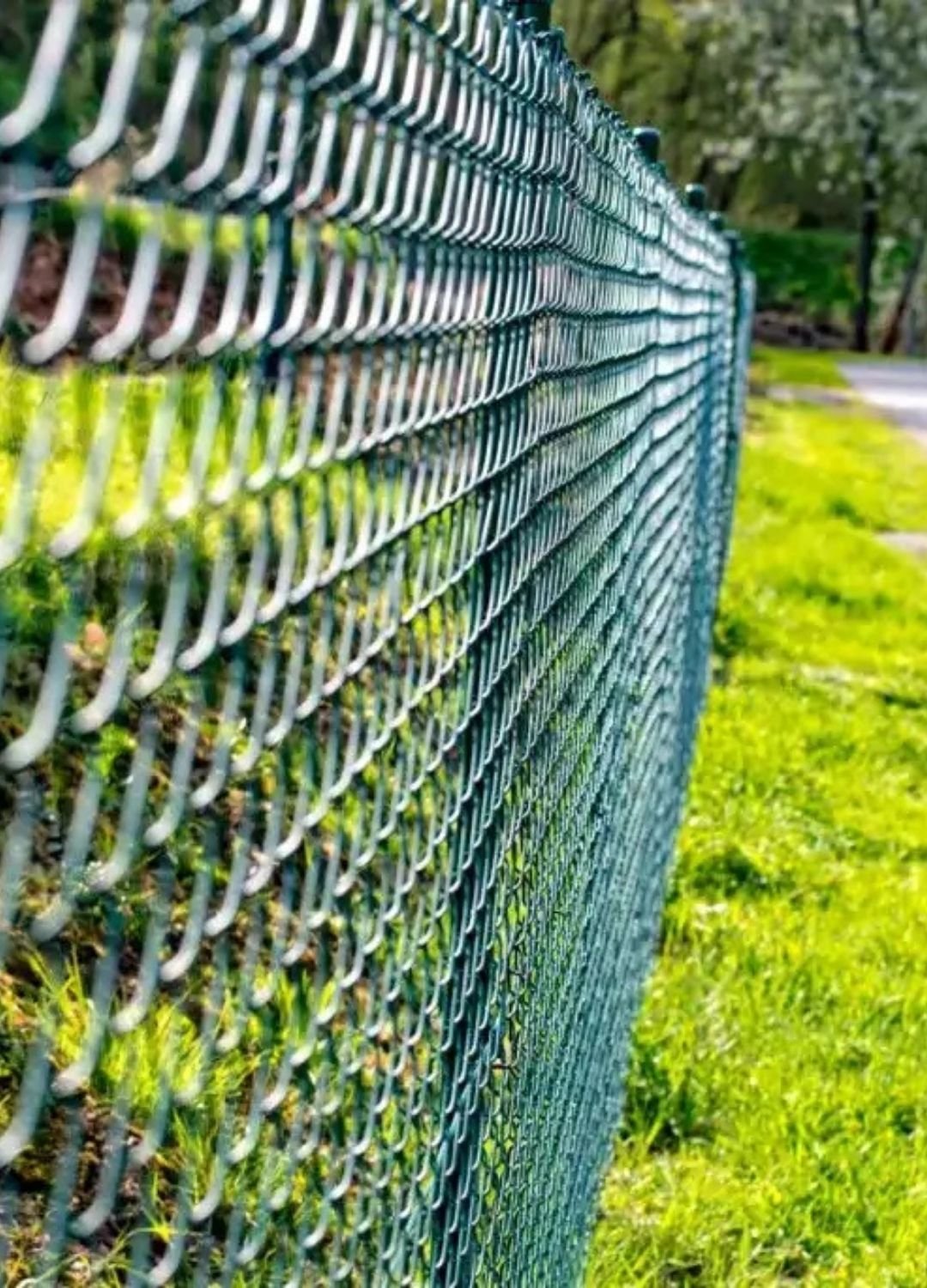 A durable green vinyl-coated chain link fence installed along a grassy residential lawn.