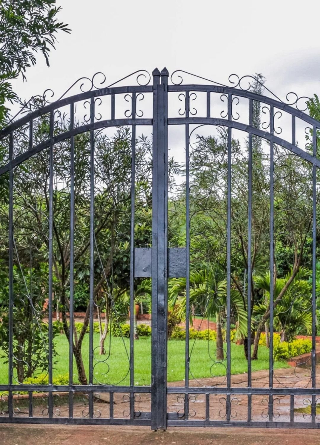A large, black wrought iron double gate with decorative scrollwork and arched tops, standing closed in front of a lush green garden with tropical plants and trees.
