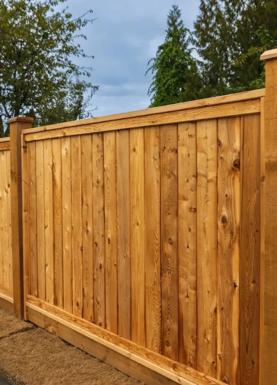 A high-quality vertical wood privacy fence with a top rail installed along a property line.